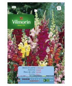 Semillas Vilmorin Flores Boca de Lobo Variado - Perrito