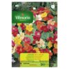 Semillas Vilmorin Flores Capuchina Enana Variada - Espuela de Galán