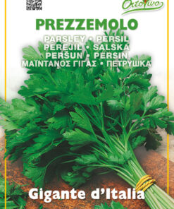Semillas Ortovivo - Hortus Perejil Gigante de Italia