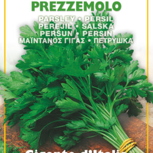 Semillas Ortovivo - Hortus Perejil Gigante de Italia