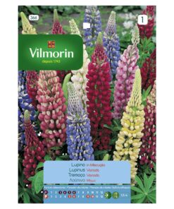 Semillas Vilmorin Flores Lupino Variado