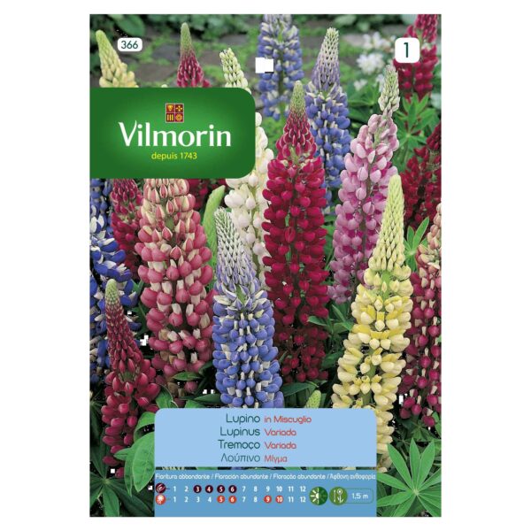 Semillas Vilmorin Flores Lupino Variado