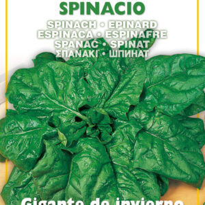 Semillas Ortovivo - Hortus Espinaca Gigante de Invierno