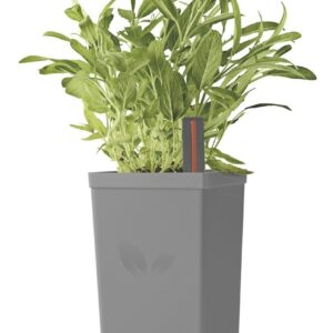 Maceta autorregante gris Tramontina 20 cm