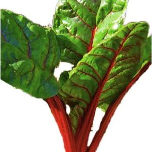 Semillas de Acelga Penca Roja