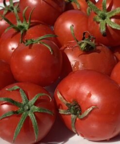 Tomate Antiguo N°38 - Herencia: Aurora Semilla Orgánica 10 un.