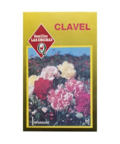 Semillas Sobre Las Encinas Flores Diego de la Noche Colores Variados