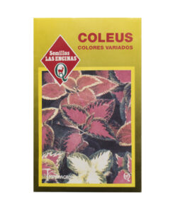 Semillas de Coleus Colores Variados Las Encinas