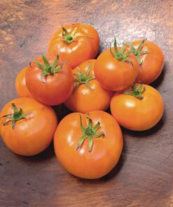 Tomate Antiguo N°35 - Herencia: Caro Rich Semilla Orgánica 15 un.