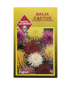 Semillas de Dalia Cactus Colores Variados Las Encinas