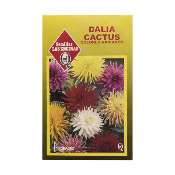 Semillas de Dalia Cactus Colores Variados Las Encinas