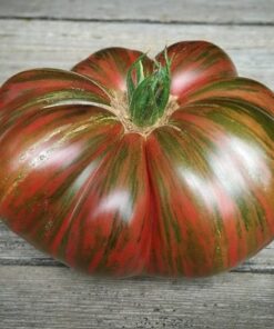 Tomate Antiguo N°22- Herencia: Fred´s Tie Dye Semilla Orgánica 15 un.