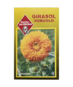 Semillas de Girasol Sungold Las Encinas