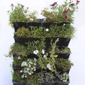 Vertical de plástico autoregante 20 macetas verde