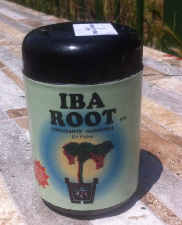 Enraizante IBA Root 75 gr.