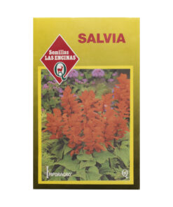 Semillas de Salvia de flores Las Encinas