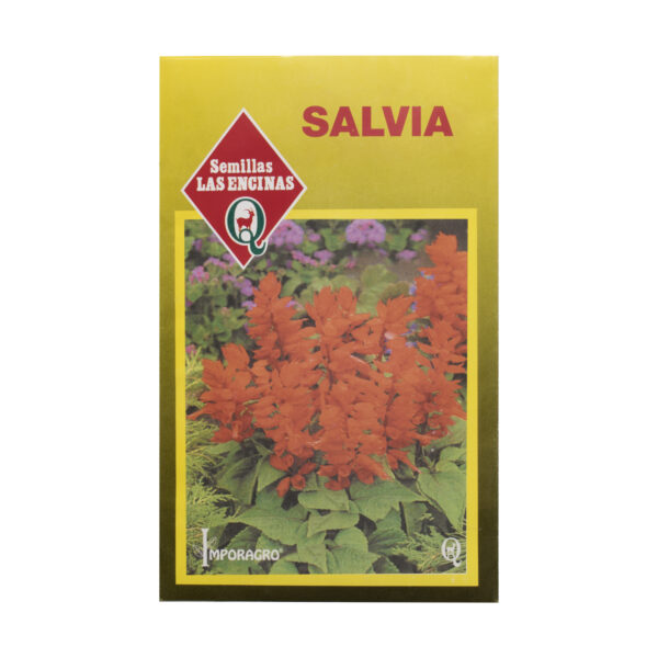 Semillas de Salvia de flores Las Encinas