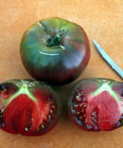 Tomate Antiguo N°37- Herencia: Black from Tula Semilla Orgánica 15 un.