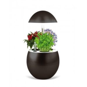 Sistema de cultivo hidropónico todo en uno Vilma de Vilmorin (gris)