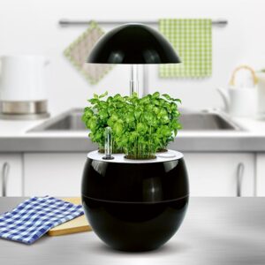 Sistema de cultivo hidropónico todo en uno Vilma de Vilmorin (gris)