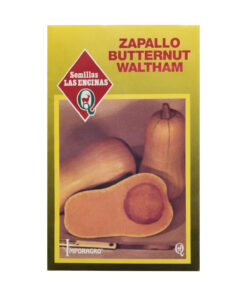 Semillas de Zapallo Butternut Las Encinas
