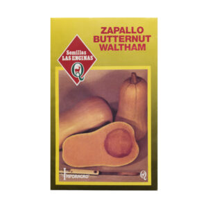 Semillas de Zapallo Butternut Las Encinas