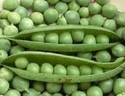 Semillas de Arveja freezer 1 Kg