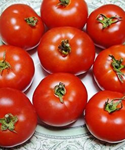 Tomate Antiguo N°38 - Herencia: Aurora Semilla Orgánica 10 un.