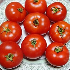 Tomate Antiguo N°38 - Herencia: Aurora Semilla Orgánica 10 un.