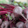 Semillas de Betarraga Baby