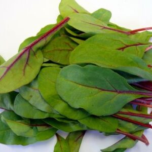 Semillas de Acelga Baby