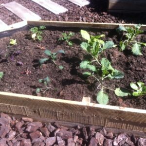 Bancal madera impregnada económico por mt lineal