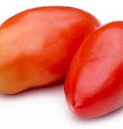 Tomate Antiguo N°5 - Herencia: Big Italian Plum Semilla Orgánica 15 un.