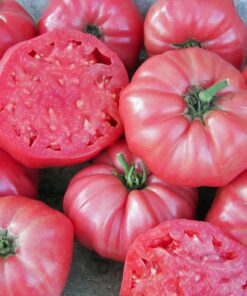 Tomate Antiguo N°2 - Herencia: Brandywine LMV Semilla Orgánica 15 un.