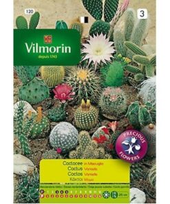 Semillas Vilmorin Cactus Variados
