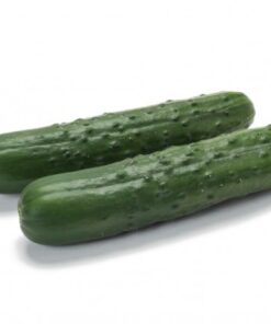 Semillas de pepino Caman F1 10 un.