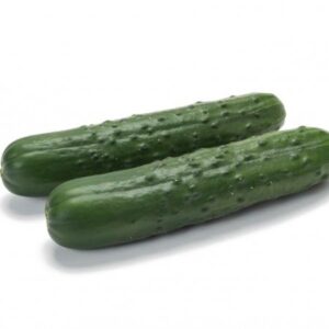 Semillas de pepino Caman F1 10 un.