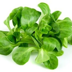 Semillas de Canónigo