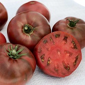 Tomate Antiguo N°8 - Herencia: Carbon Semilla Orgánica 15 un.