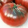 Tomate Antiguo N°17- Herencia: Cherokee Chocolate Semilla Orgánica 15 un.