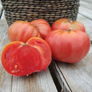 Tomate Antiguo N°33- Herencia: Chianti Rose Semilla Orgánica 10 un.