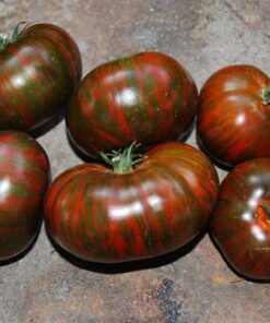 Tomate Antiguo N°20 - Herencia: Chocolate Stripes Semilla Orgánica 10 un.