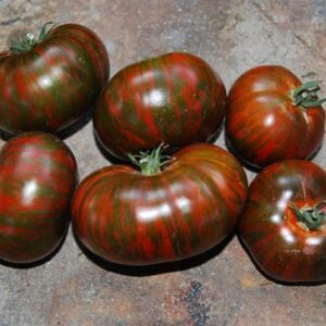 Tomate Antiguo N°20 - Herencia: Chocolate Stripes Semilla Orgánica 10 un.