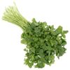 Semillas de Cilantro 100 gr