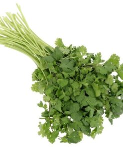 Semilla Cilantro 10 grs ziplock