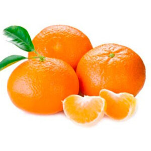 Mandarino Clementina injertado