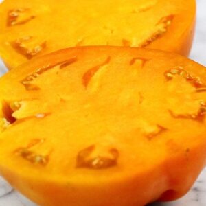 Tomate Antiguo N°23- Herencia: Dad´s Sunset Semilla Orgánica 5 un.