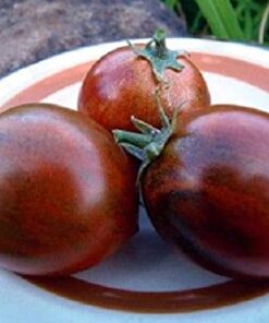Tomate Antiguo N°12- Herencia: Dark Tiger Semilla Orgánica 10 un.