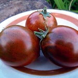 Tomate Antiguo N°12- Herencia: Dark Tiger Semilla Orgánica 10 un.