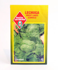 Semillas de Lechuga Escarola (great lakes) Las Encinas